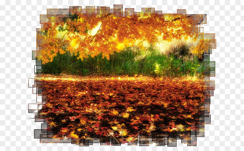 Landscape Paintings Desktop Wallpaper Autumn 1080p PNG