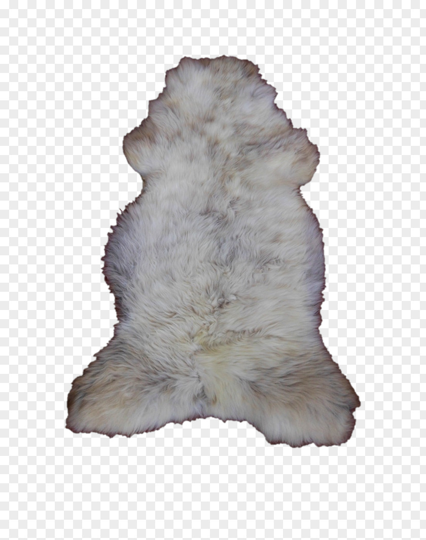 Mouton Fur Snout PNG