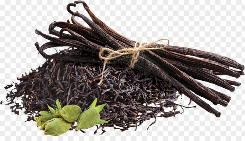 Nilgiri Tea Earl Grey Lotion Compagnie De Provence Black PNG
