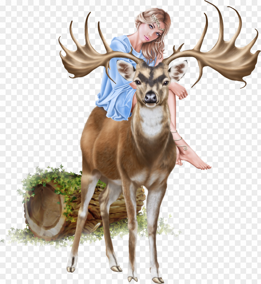 Tail Moose Reindeer Cartoon PNG