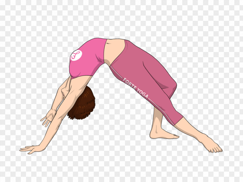 Yoga Wild Thing Asana Exercise PNG
