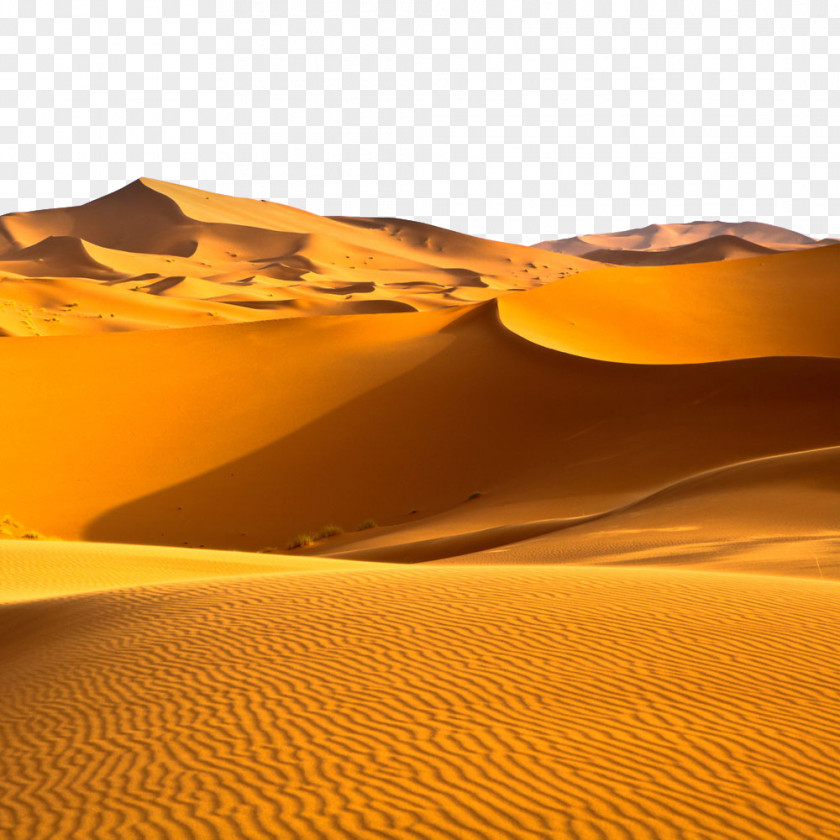 Desert Sahara Arabian Climate Biome PNG