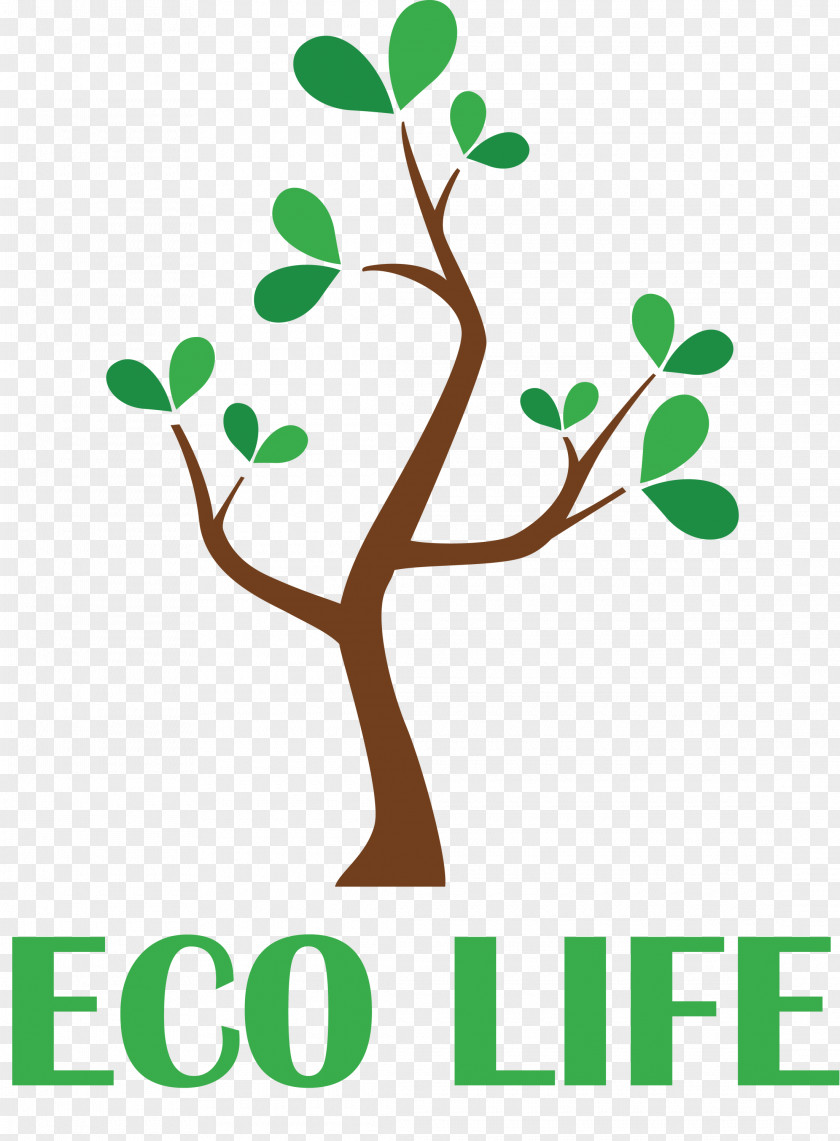 Eco Life Tree PNG