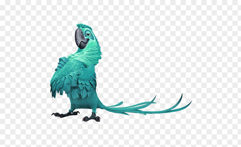 Green Family Parrot Decorative Motifs Blu Rio Wikia Icon PNG