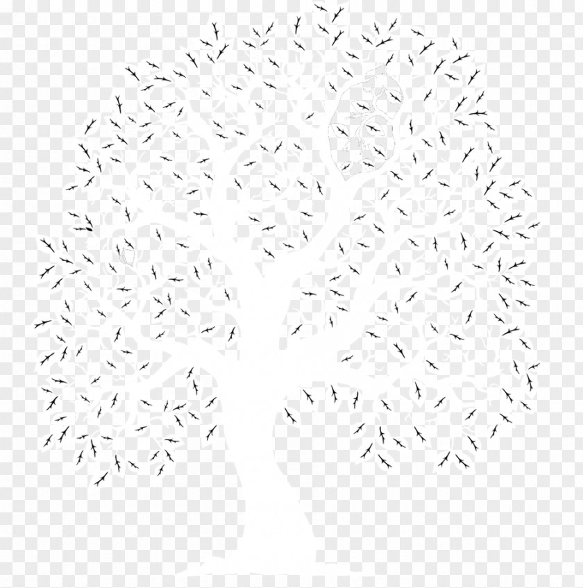 Love Tree Black And White Monochrome Photography PNG