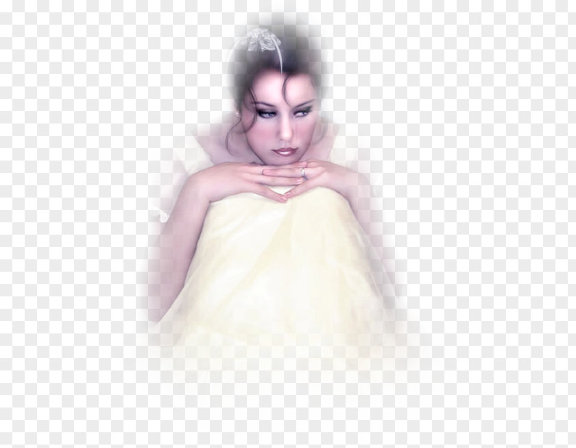 Photo Shoot Bride Data Joint Icon PNG