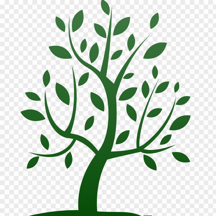 Tree People, Even More Than Things, Have To Be Restored, Renewed, Revived, Reclaimed, And Redeemed; Never Throw Out Anyone. Interpersonal Relationship Coaching Divorce Woody Plant PNG