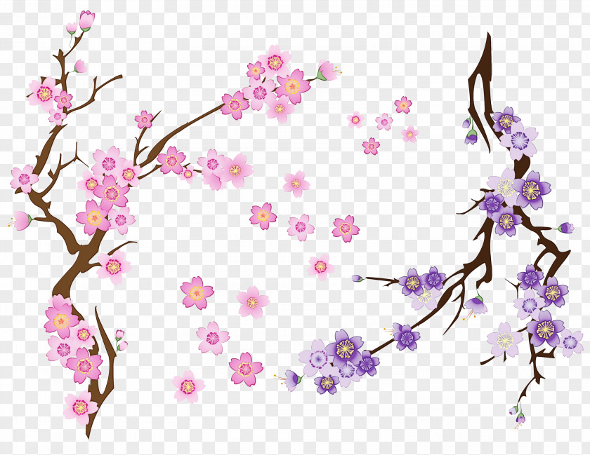 Wildflower Pedicel Cherry Blossom Background PNG