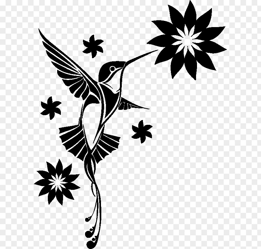 Colibri Hummingbird Wall Decal Sticker Tattoo PNG