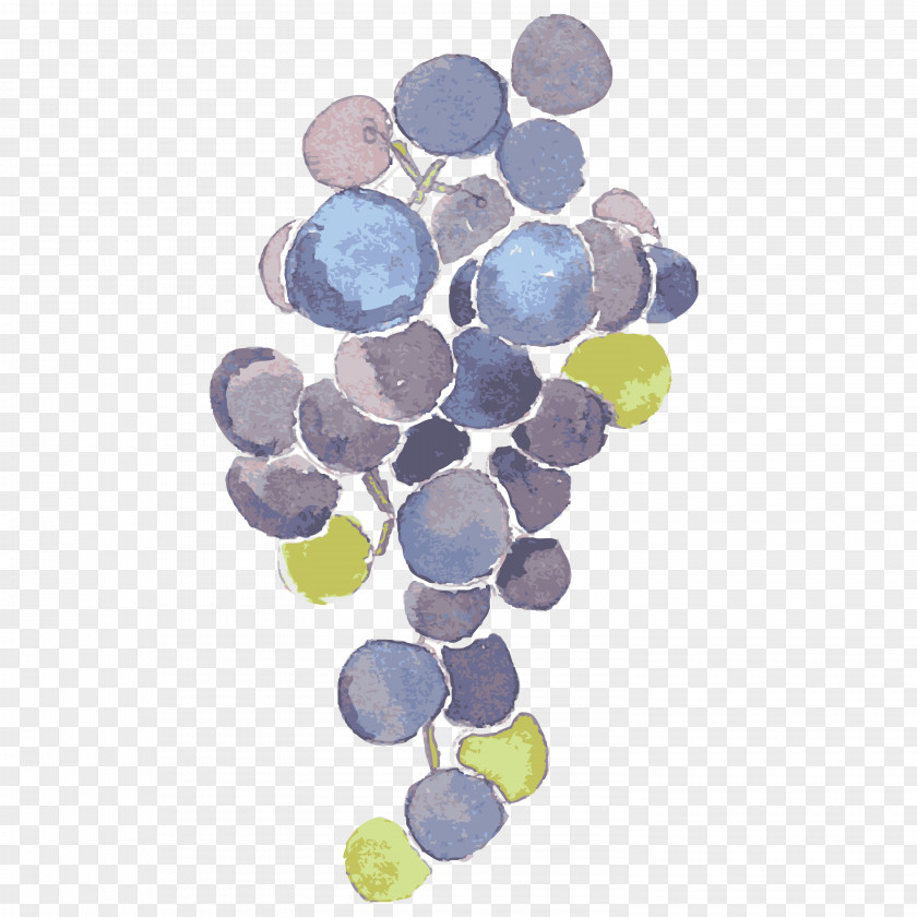 Grape U81eau7136u3068u4ebau751f PNG