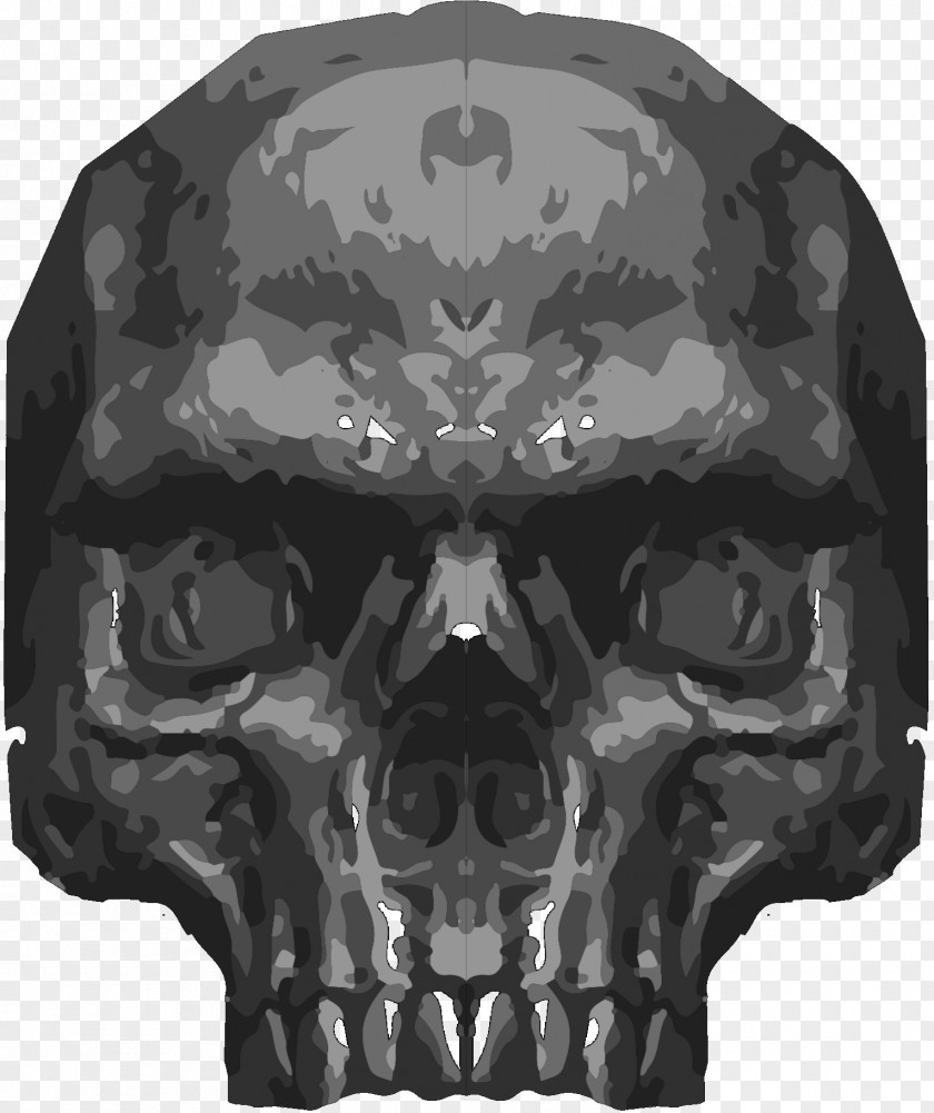 Image Music Tagged Skull PNG