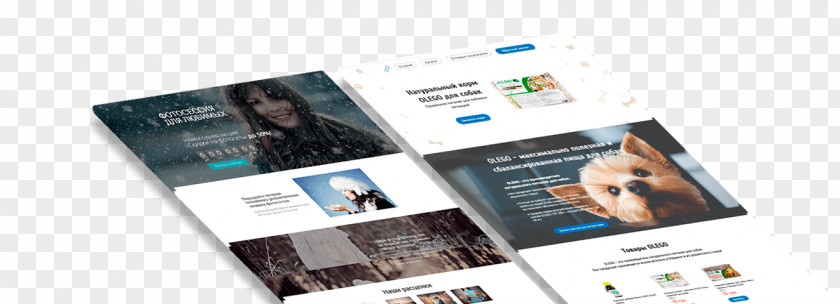 Landing Page Conversion Rate Razrabotka Odnostranichnykh Saytov V Belarusi PNG