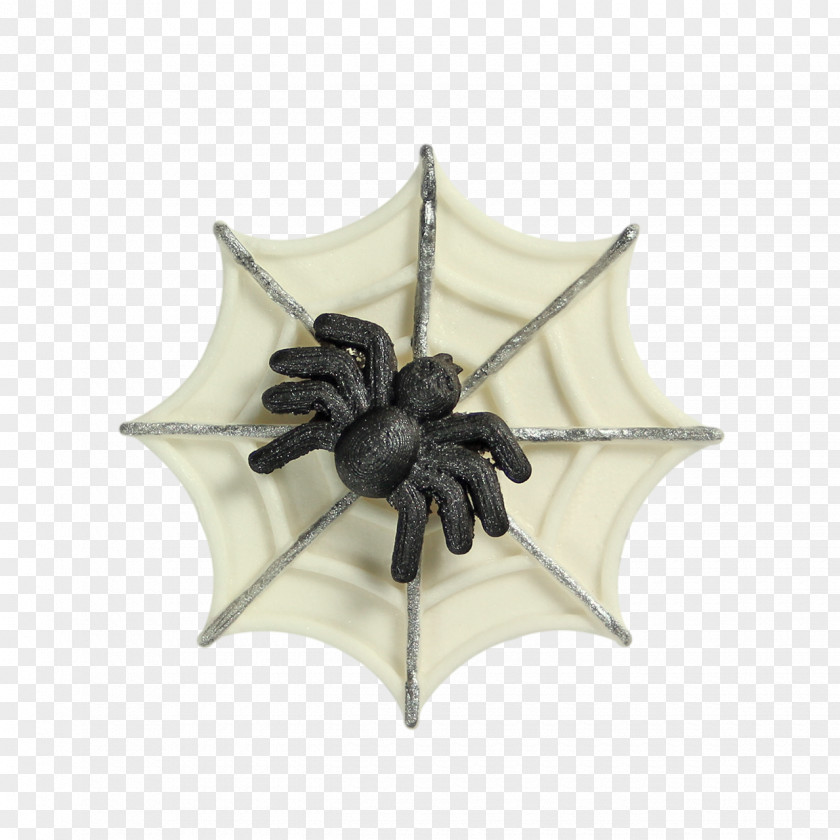 Spider Web Decoration And PNG
