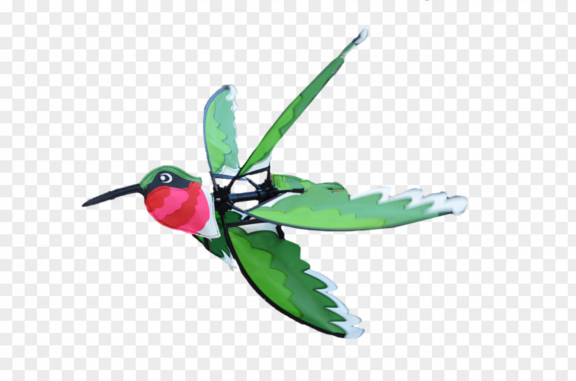 Artistic Wind Hummingbird M Insect Wing Beak PNG