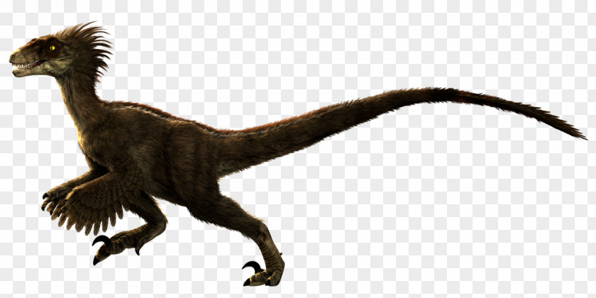 Feather Velociraptor Primal Carnage: Extinction Tyrannosaurus Spinosaurus PNG