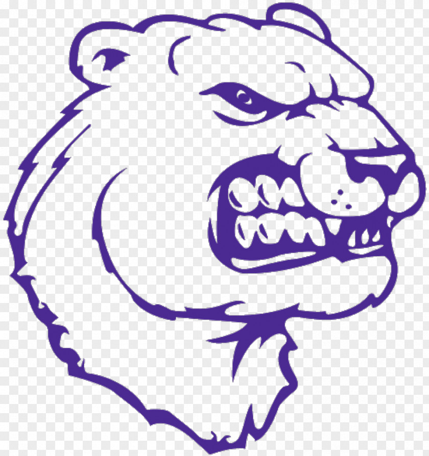 Bear Baseball Jackson High School Line Art Division 1 Clip PNG