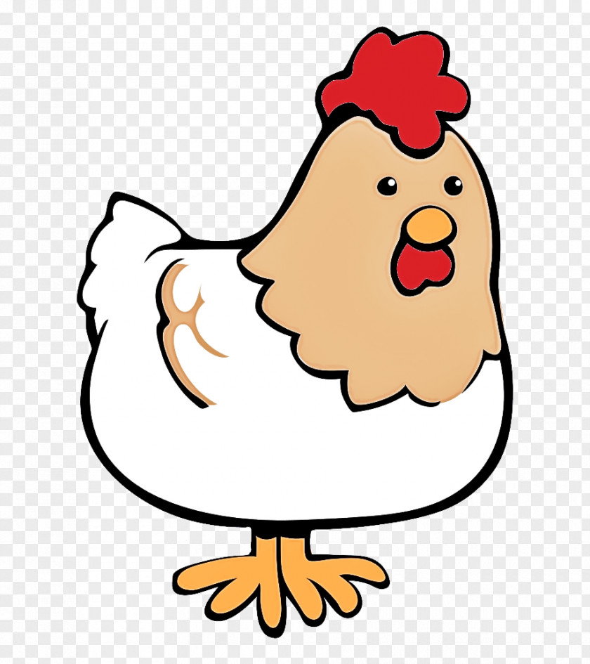 Chicken Bird Cartoon Rooster Beak PNG