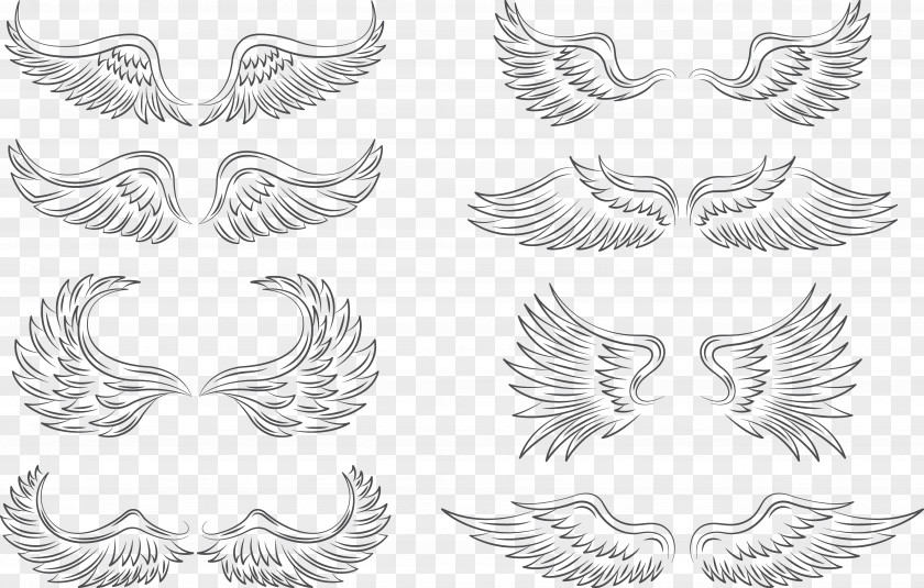 Creative Wings Collection Wing Feather Icon PNG