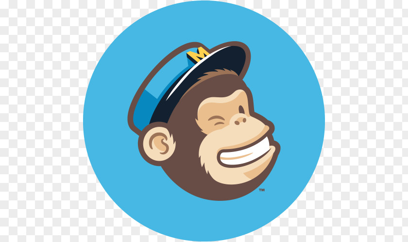 Email MailChimp Newsletter Marketing PNG