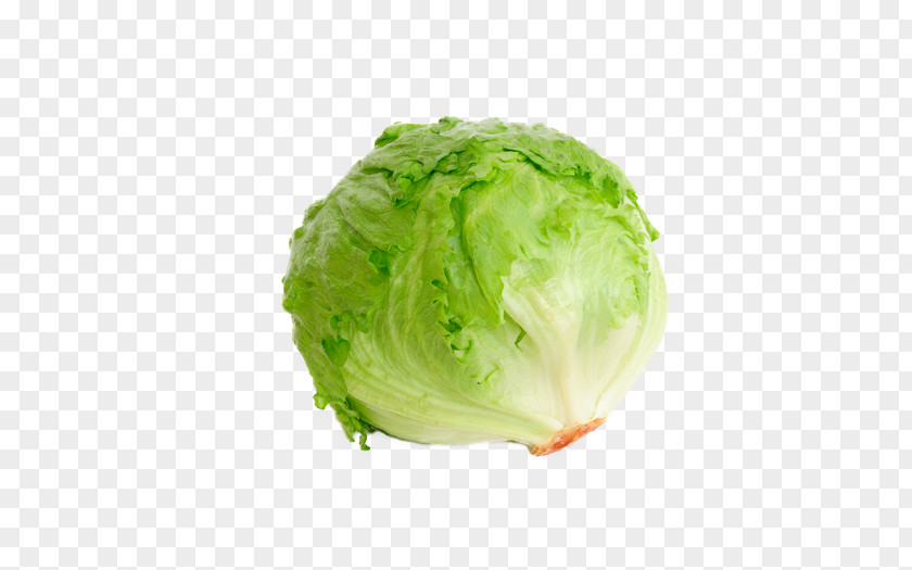 Lettuce Iceberg Organic Food Leaf Vegetable Salad PNG