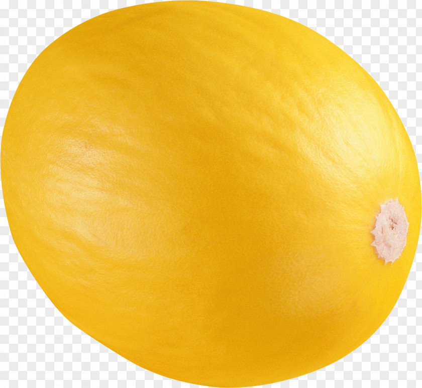Melon Cantaloupe Honeydew Horned Fruit PNG