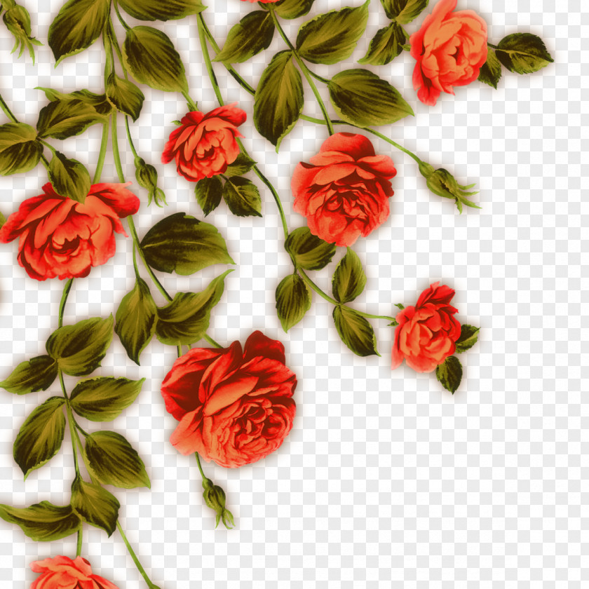 Painted Red Flowers Garden Roses Beach Rose Flower PNG