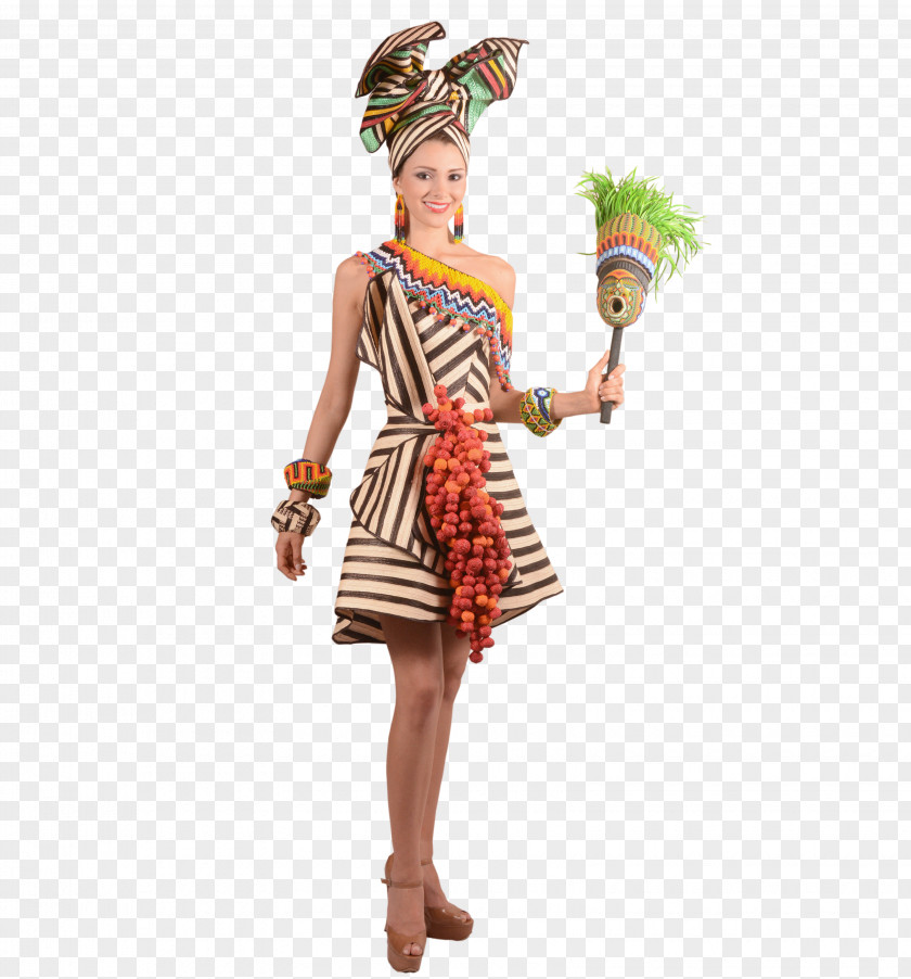 Suit Miss Universe 2015 Costume Colombia 2014 PNG