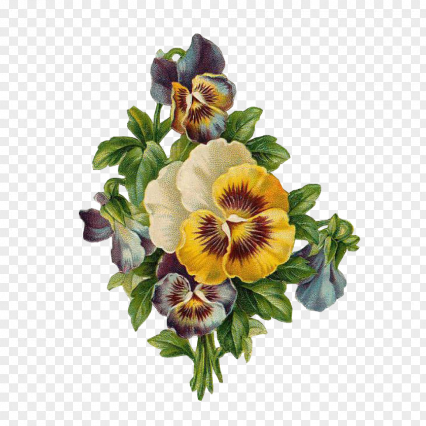 Dendrobium Viola Bouquet Of Flowers Drawing PNG