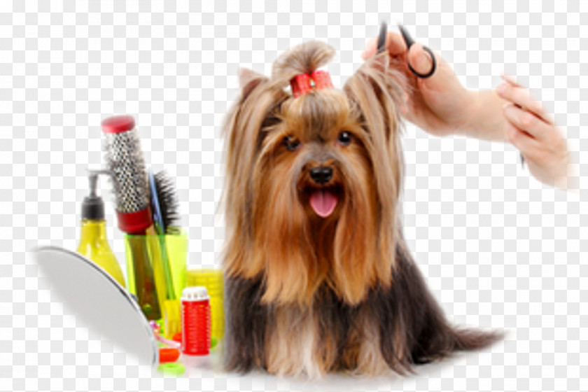 Dog Groomer Barber Cosmetologist Veterinarian PNG