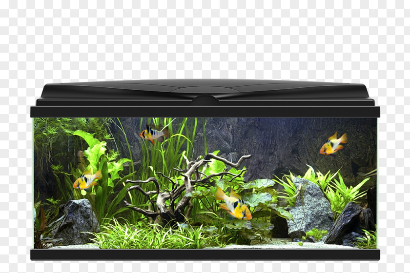 Light Aquarium Light-emitting Diode Lighting LED Lamp PNG