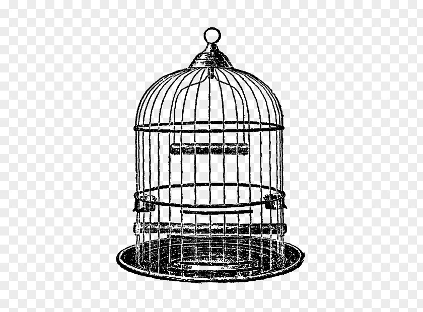 Parrot Birdcage Clip Art Drawing PNG