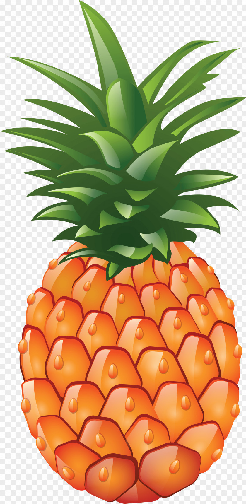 Pineapple Image Download Clip Art PNG