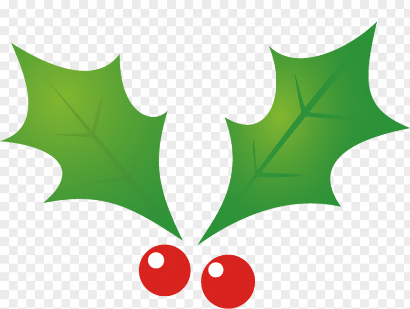 Plane Woody Plant Jingle Bells Christmas PNG