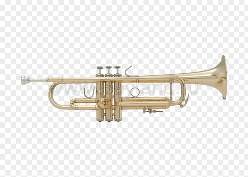 Trumpet Stradivarius Vincent Bach Corporation Leadpipe PNG