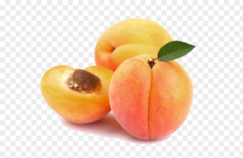 Apricot Display Resolution Clip Art PNG