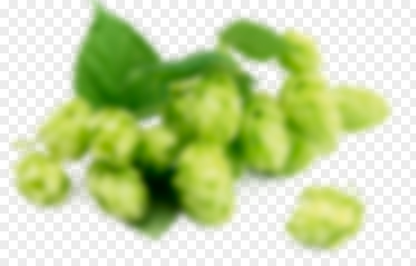 Beer Hops Common Hop Ale Food PNG