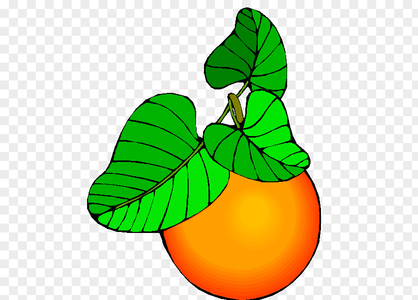 Buah Buahan Auglis Fruit Of The Holy Spirit Tree And Its Fruits Cult Clip Art PNG