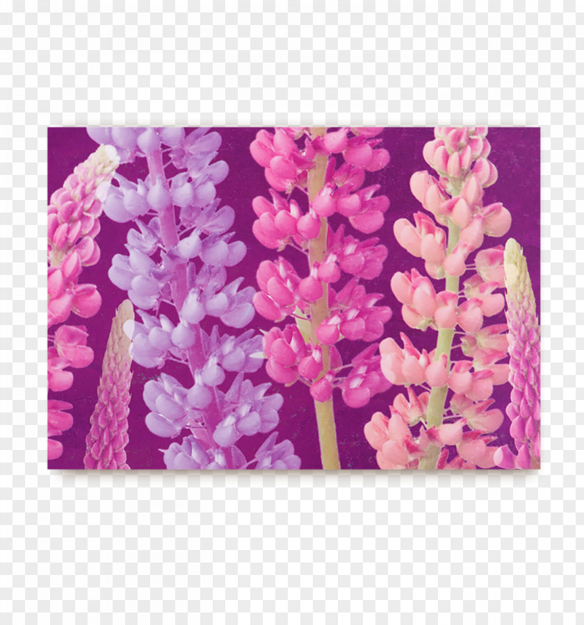 Design Post Cards Greeting & Note Floral ST.AU.150 MIN.V.UNC.NR AD PNG