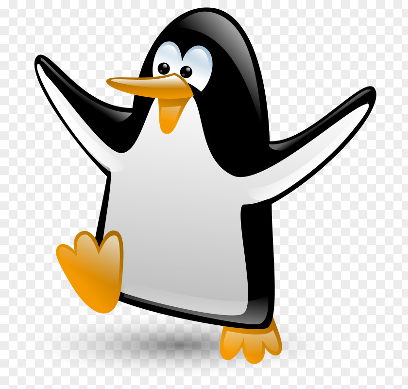 Emperor Penguin Beak Cartoon Bird PNG