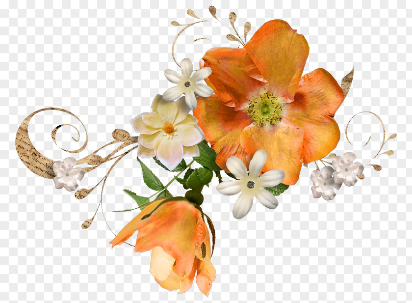 Flower Bouquet Floral Design Picture Frames Garden Roses PNG
