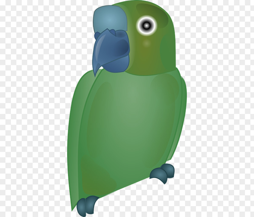 Green Parrot Bird Clip Art PNG