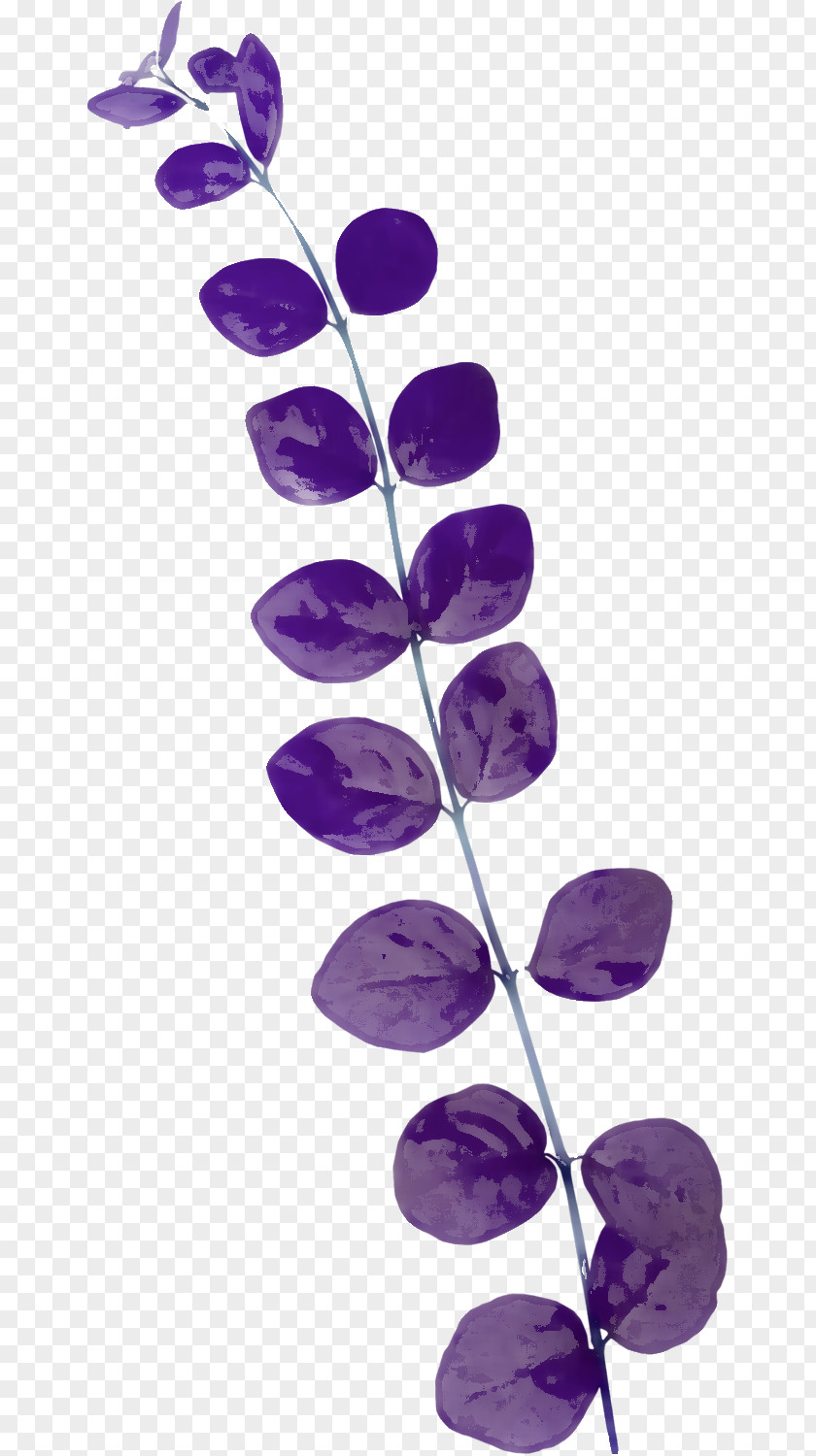 Leaf Border PNG