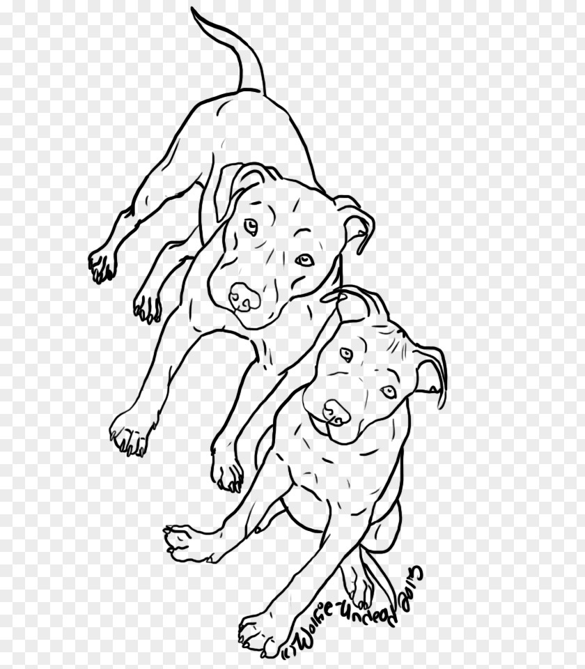 Pitbull Dog Line Art Breed Color PNG