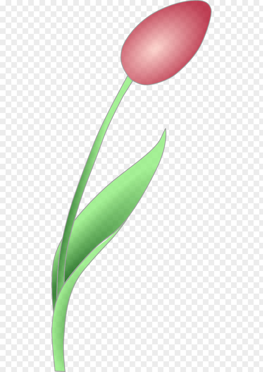 Image Of Tulip Clip Art PNG