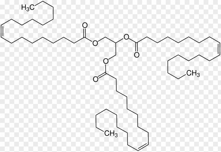 Triolein Triglyceride Oleic Acid Structural Formula Fatty PNG