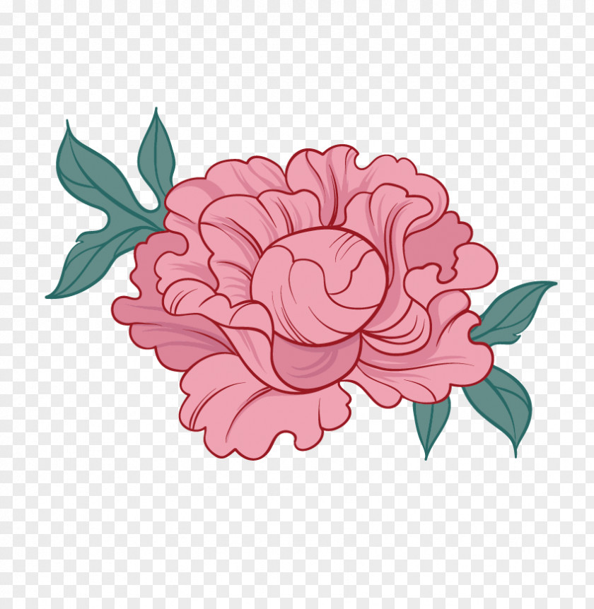 Vector Flowers Peony Pink PNG