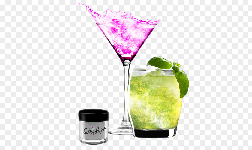 Wine Cocktail Garnish Cooler PNG