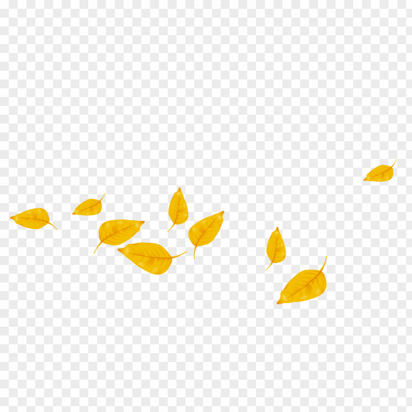 Autumn Leaves Leaf Computer File PNG