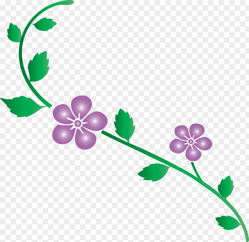 Flower Frame Decoration PNG