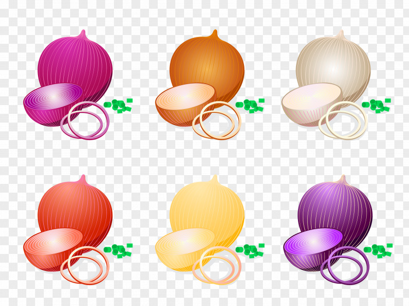 Organic Onion Healthy Fresh Vegetarian White Clip Art PNG